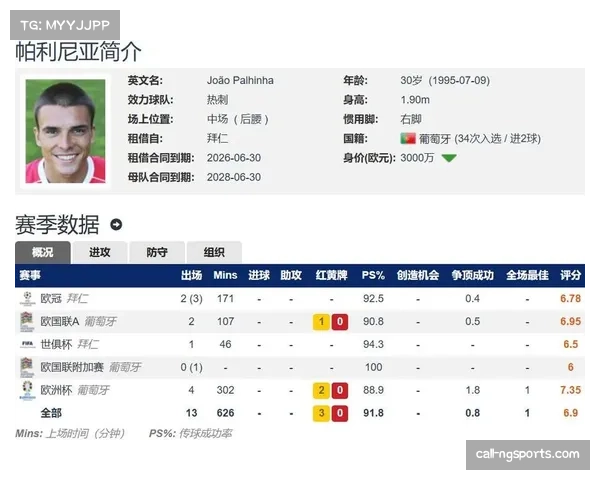 帕利尼亚引领铲球榜 热刺中场如何凭借防守成效脱颖而出